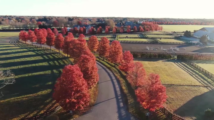 Stunning drone footage shows off autumnal scene in New York state