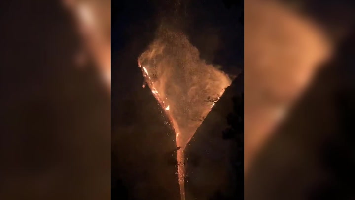 200-year-old Jeffrey pine burns after lightning strike in California