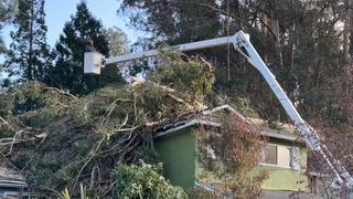 Toppled tree falls on roof of California house as state battles floods