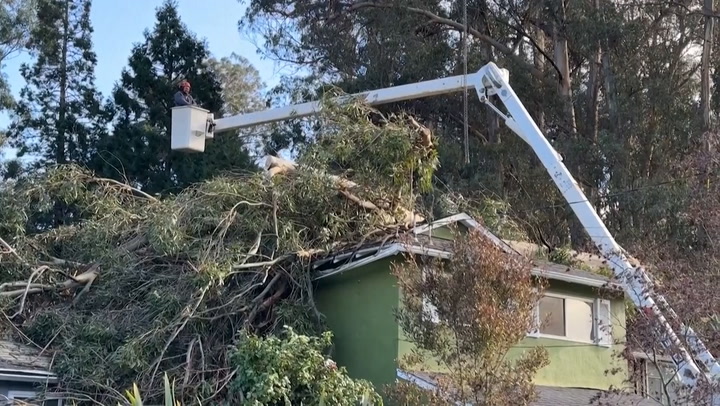 Toppled tree falls on roof of California house as state battles floods and landslides