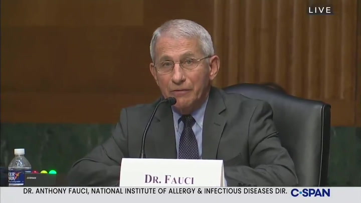 Dr Fauci tells Rand Paul he is "completely incorrect" on Wuhan lab theory