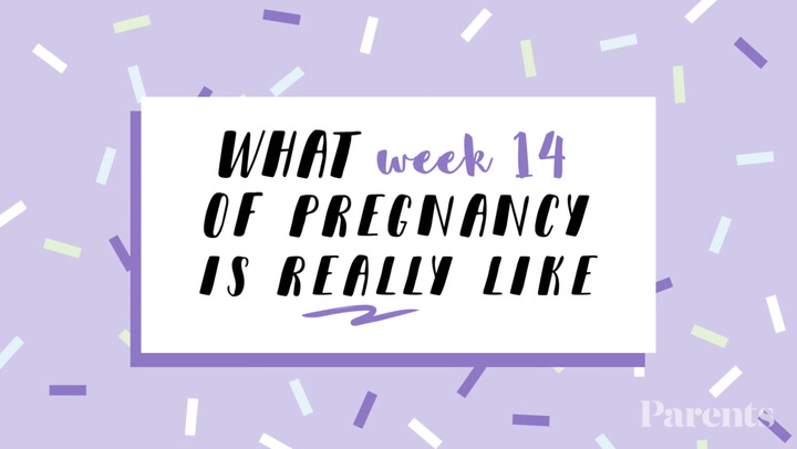 Week 14 of Your Pregnancy