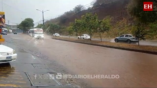 Gotas de bendición: La lluvia refresca la capital de Honduras en Domingo de Ramos