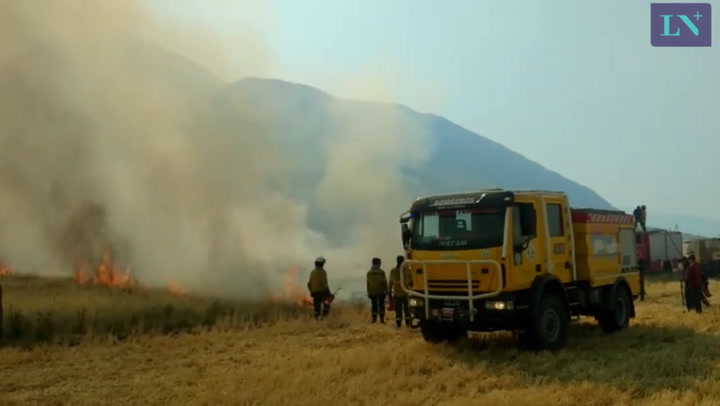 Así intentan apagar un incendio en Sierra de la Ventana (crédito: Mauro Rizzi)