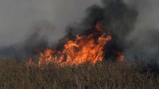 Incendios en el Delta: el humo afecta al país y en Rosario 'no se puede respirar'