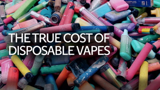 The true cost of disposable vapes | On the Ground