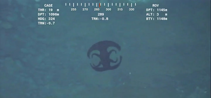 Una extraña criatura adopta distintos aspectos en la profundidad del océano