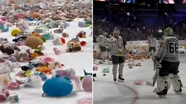 Thousands of stuffed animals rain on ice hockey players in annual teddy bear toss