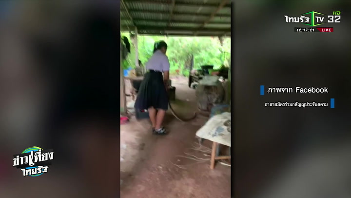นักเรียนสาวช่วยจับงูบุกบ้านก่อนไปเรียน