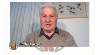 Jorge Castro analiza el rol clave del agro en el plan de Sergio Massa