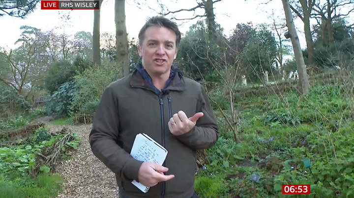 BBC reporter bizarrely details 'ripping slugs apart' during live TV interview