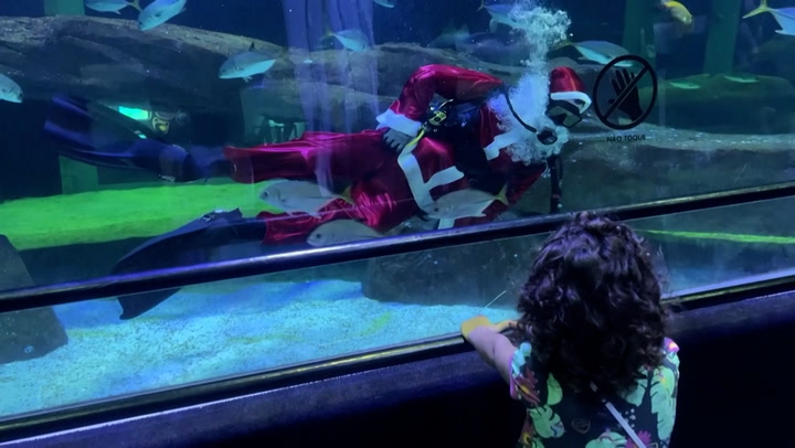 Scuba diving Santa surprises aquarium visitors in Brazil