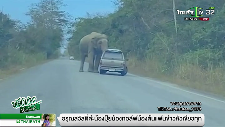 ขนุนสุกเป็นเหตุ ช้างป่าหิวจัดเหยียบรถกระบะจนพังยับ