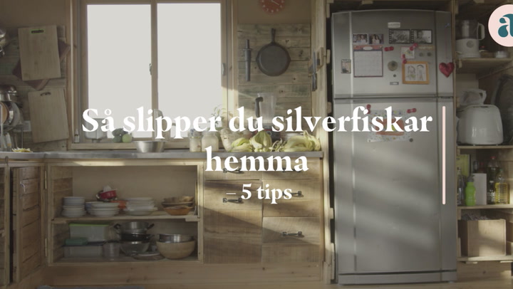 Så slipper du silverfiskar hemma – 5 tips