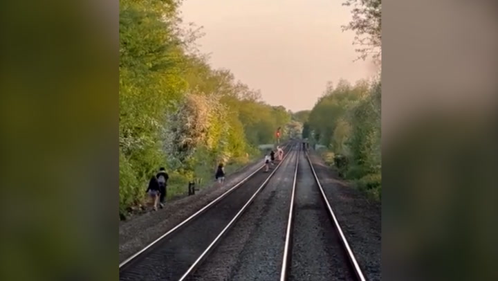 Children playing on live rail tracks force train driver to make emergency stop