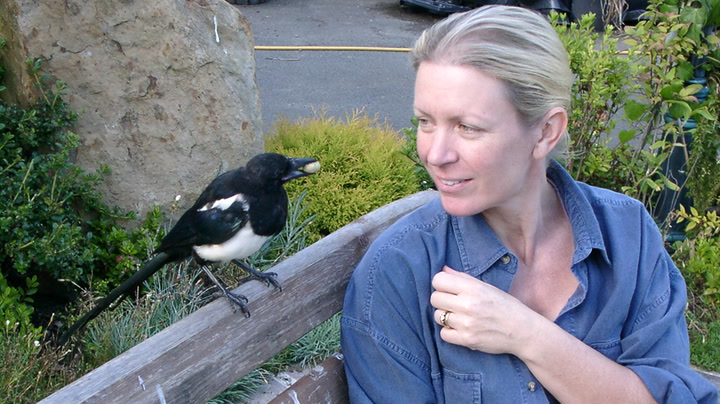 Poet Frieda Hughes explains why George the magpie was so special to her