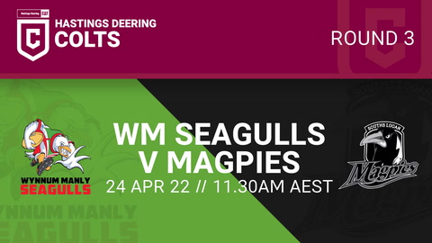 Wynnum Manly Seagulls U21 - HDC v Souths Logan Magpies U20 - HDC