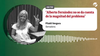 Una consejera de la Magistratura que responde a Cristina Kirchner criticó a Alberto Fernández: “No se da cuenta de la magnitud del problema”
