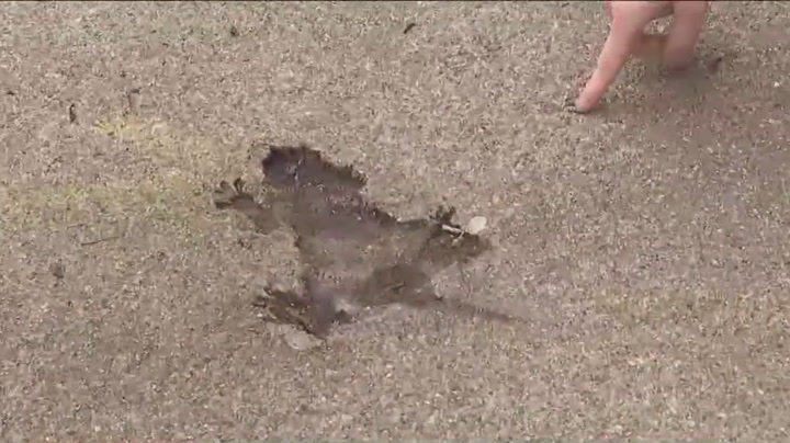 Chicago Rat Hole becomes tourist attraction
