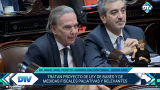 Miguel Ángel Pichetto: "La Ley Bases va a salir por el esfuerzo de la política"