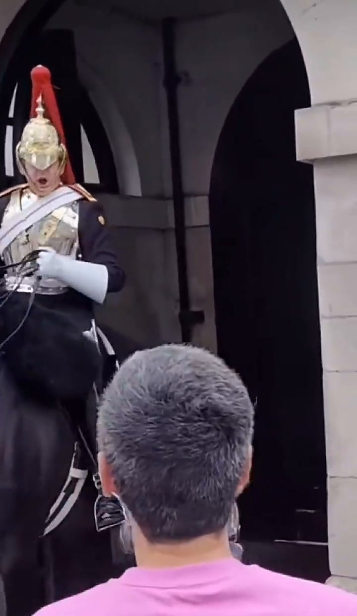 La reacción del Guardia de La Reina cuando una turista intentó tocar las riendas de su caballo