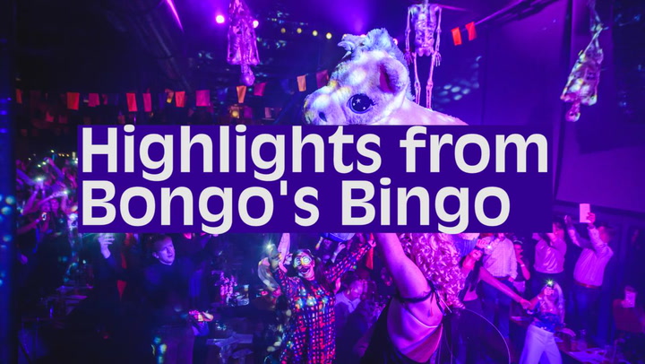 Code a is there for bongo bingo? dress 