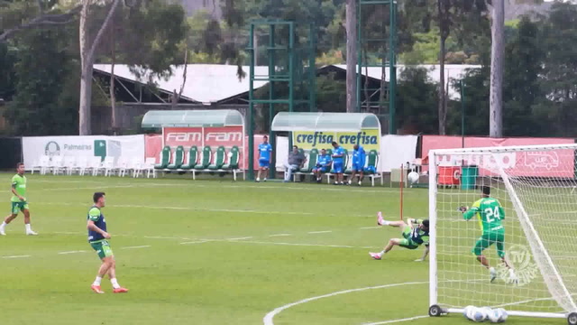 Dudu treina em campo na reapresentação do Palmeiras