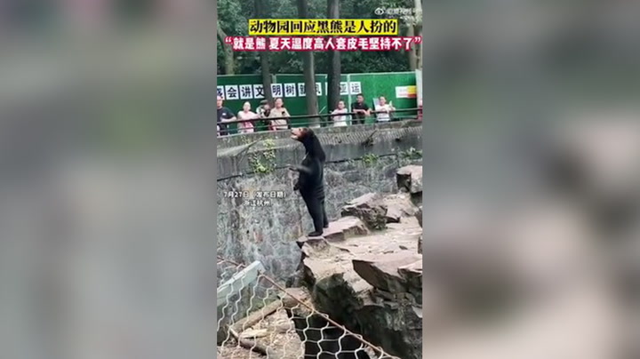 Chinese zoo denies sun bear is human wearing a costume