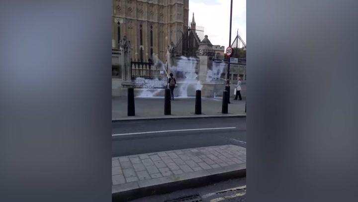 Animal Rebellion activists spray white paint onto Big Ben's fences to protest dairy industry