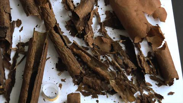 Counterfeit Cuban Cigars Part II: Cutting Open Counterfeits