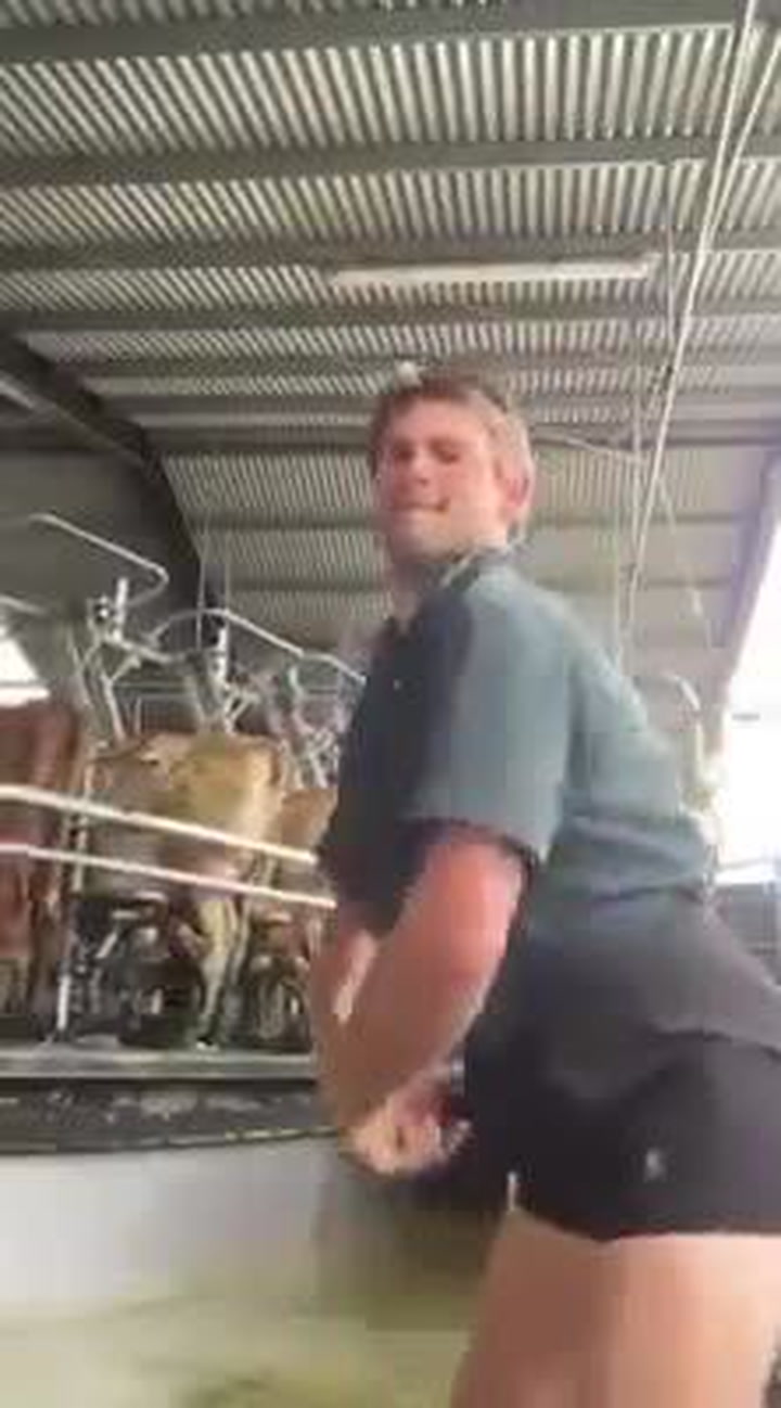 Watch the milking dance that has led this farmer to become a viral ...