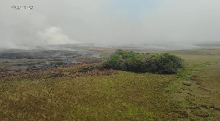 El avance del fuego en el Portal Carambolas, zona de Puerto Juli Cué, en el Parqué Ibera