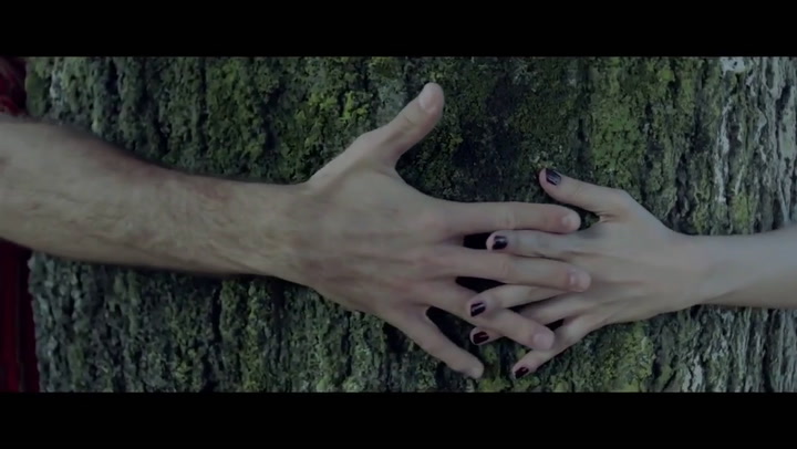 Trailer de El árbol de la sangre  - Fuente: YouTube