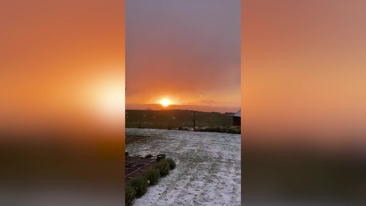 Snow gently falls at sunrise in Scotland