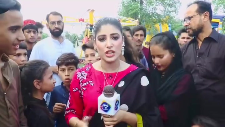 Pakistani reporter slaps bystander during live broadcast
