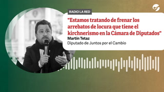 Martín Tetaz: "Estamos tratando de frenar los arrebatos de locura que tiene el kirchnerismo en la Cámara de Diputados"