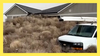 Tumbleweeds wreak havoc in the Western U.S.