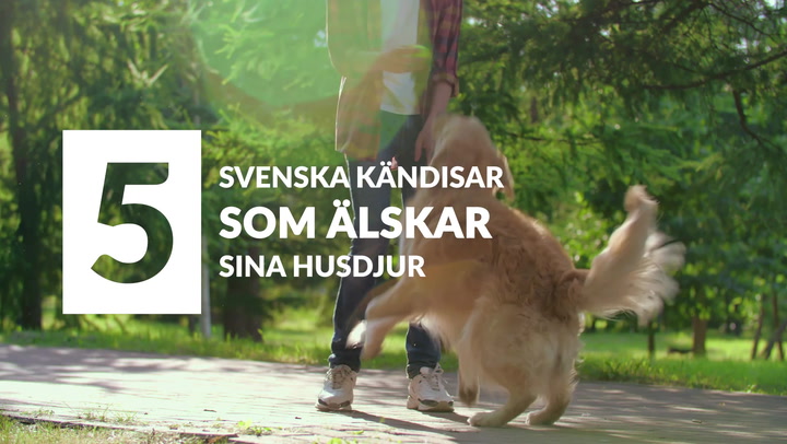 Se också: 5 svenska kändisar som älskar sina husdjur