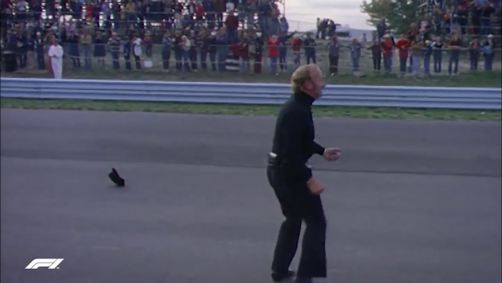 Recordando a Ronnie Peterson - Fuente: YouTube