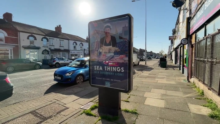 Peta erects poster outside chip shop comparing eating fish with eating a dead cat