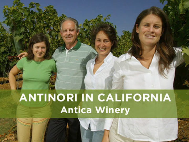 Antinori in Napa: Antica Winery
