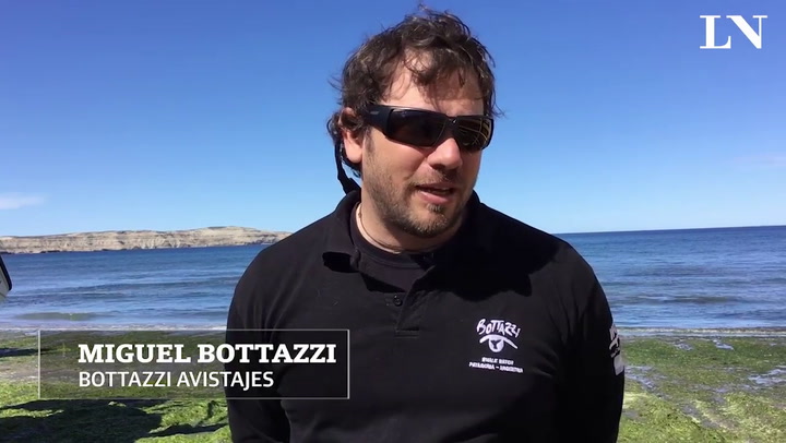 Avistajes Bottazzi: pioneros en la actividad turística de Puerto Madryn