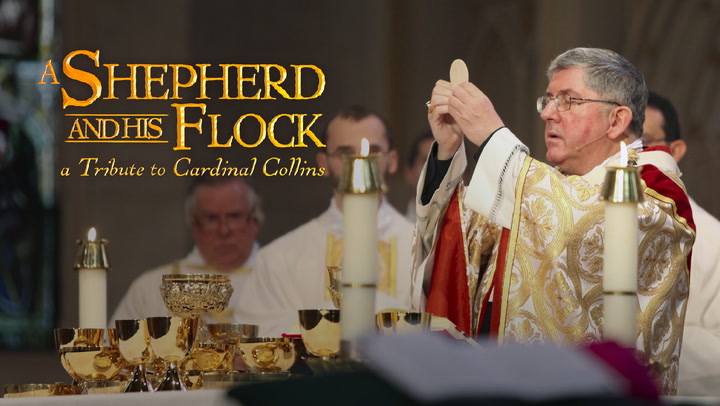 A Shepherd and His Flock: A Tribute to Cardinal Collins