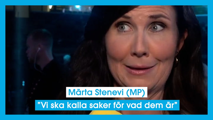 Märta Stenevi (MP) ”Vi ska kalla saker för vad dem är”