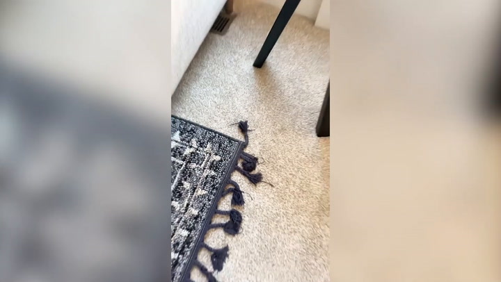 Woman shares hack to stop rug corners rolling up - which people