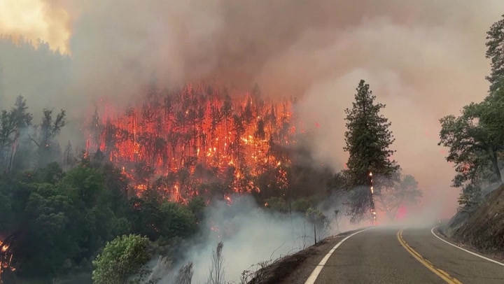California wildfire burns 30,000 acres of national forest