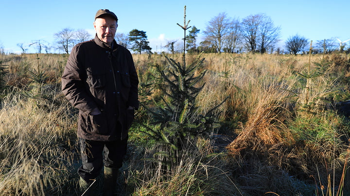 'Eco-champion' pensioner celebrated for transforming disused Antrim land with 20,000 trees