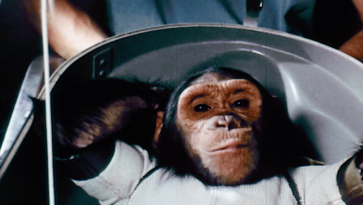 NASA's First Chimp in Space Smithsonian Magazine