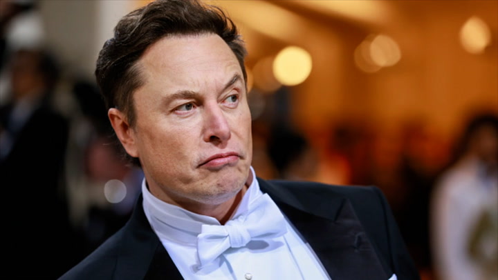 Elon Musk promises 'amnesty' to suspended Twitter accounts