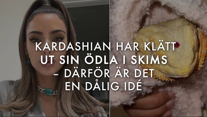 Kardashian har klätt ut sin ödla i SKIMS – därför är det en dålig idé enligt djurexperten